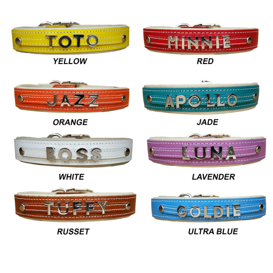 Luxury Leather Dog Collars for Large Breeds – Padded with Soft Inner Liner