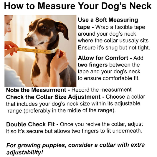 Red Leather Suede Dog Collars Designed for Medium to Large Dogs -1 Inch Wide