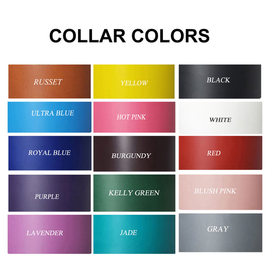 1.5" Designer Latigo Leather Dog Collar Soft Padded-Big Dogs