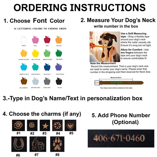 Custom Dog Collars – Genuine Leather, Handcrafted & Built to Last