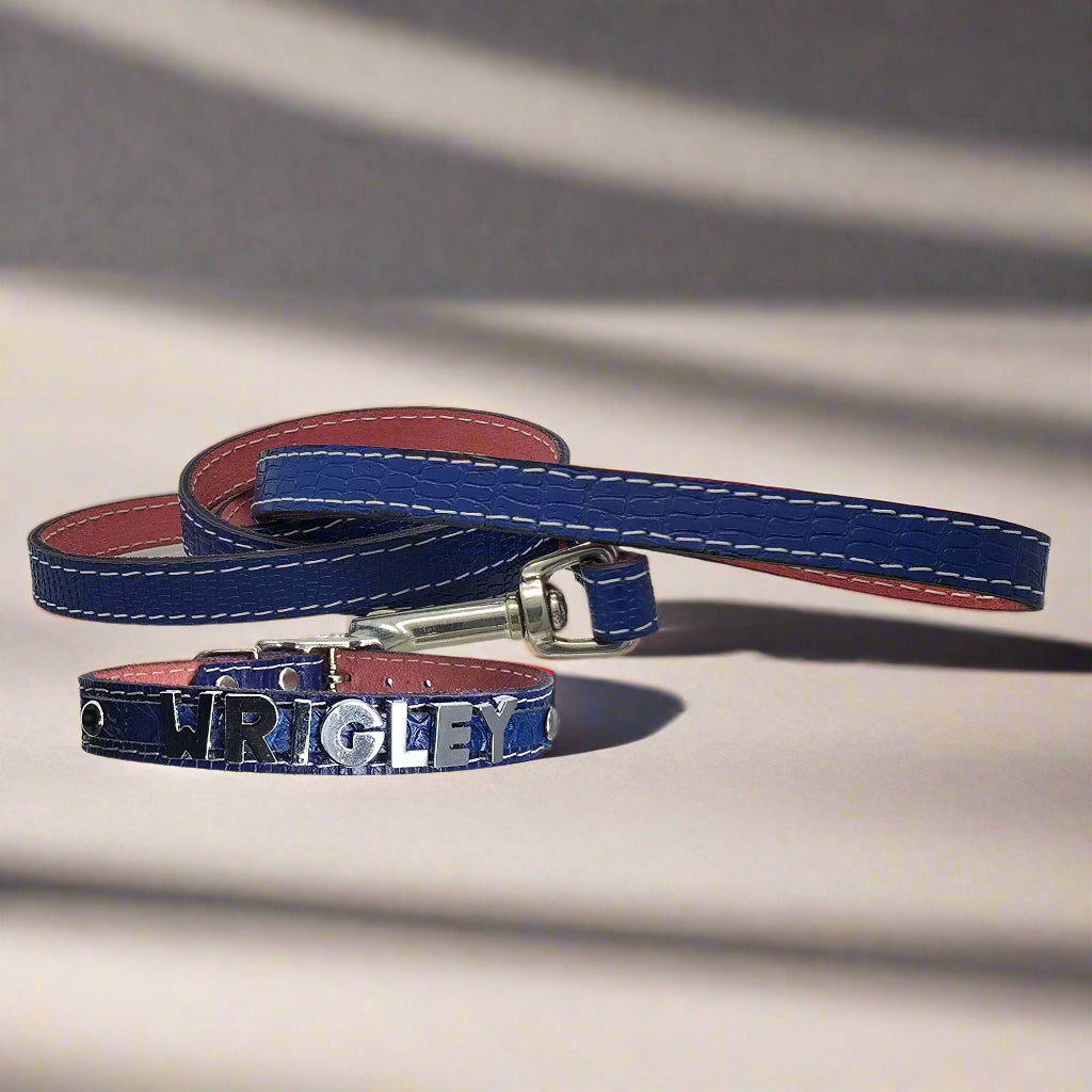 Blue leather dog collar for small breeds, personalized with chrome slide letters and matching leather leash