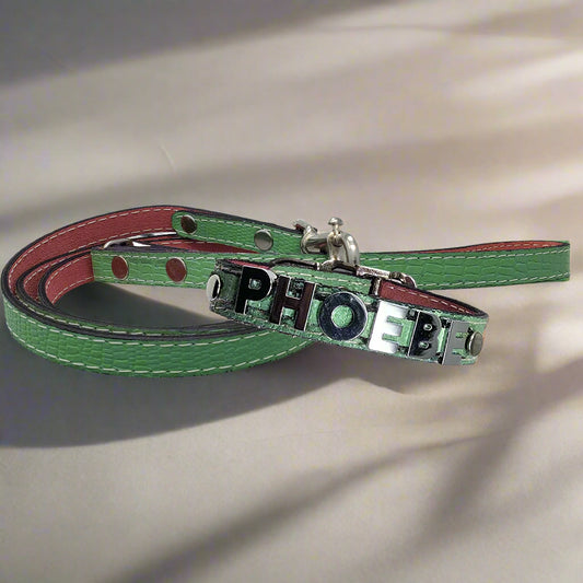 Custom leather dog collar with a pet’s name in chrome letters and matching leather leash