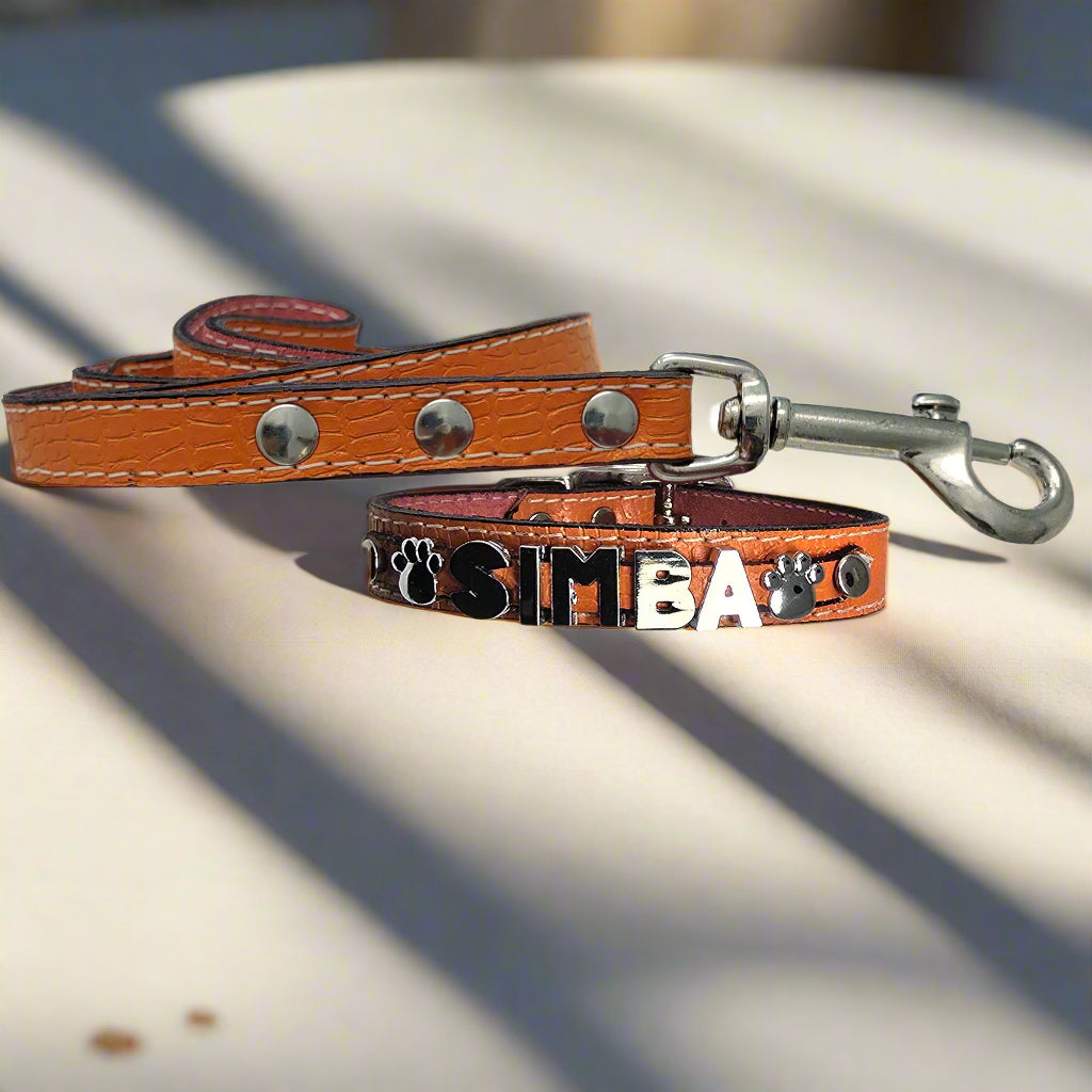 Leather dog collar personalized with chrome letters and matching leather leash
