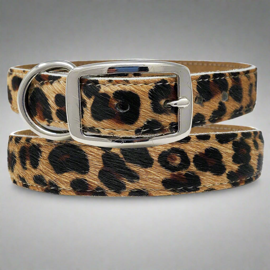 Hair-on Leopard print leather dog collar in large size, combining style and comfort for bold, fashionable dogs