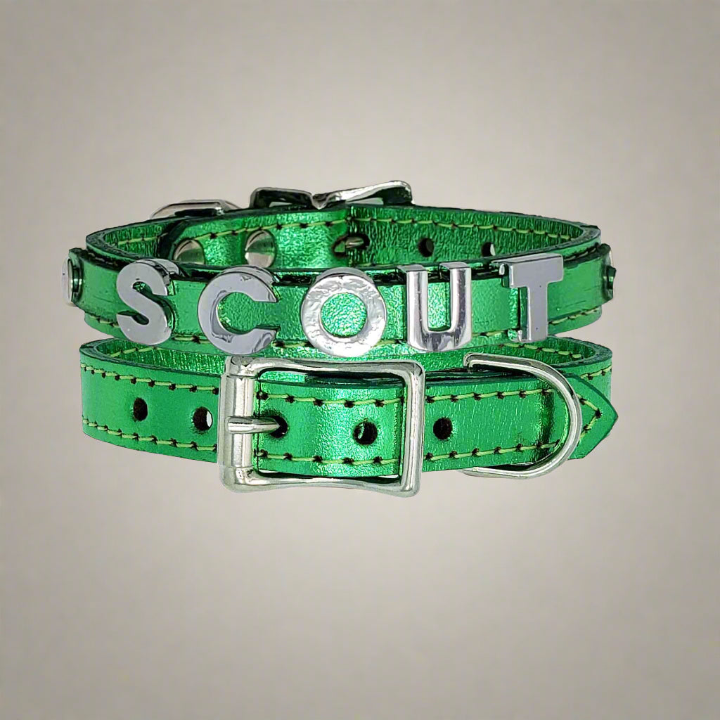 Metallic leather collar for puppies, showcasing personalized name with chrome slide-on letters