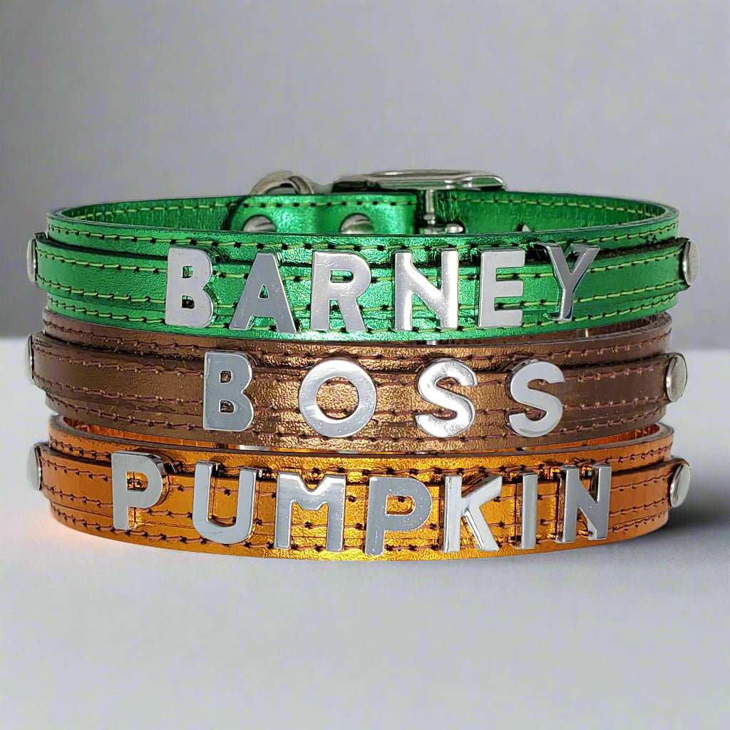 Medium-sized dog custom metallic leather collar with chrome slide letters showcasing style and personality