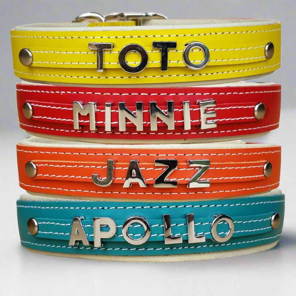 Luxury Padded personalized leather collars with slide-on Chrome letters and charms, designed especially for large dog breeds