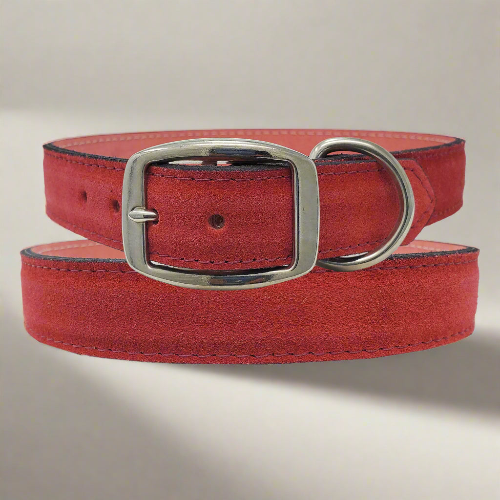 Large red leather suede dog collar with durable metal hardware, adding a bold pop of color to a big dog’s look