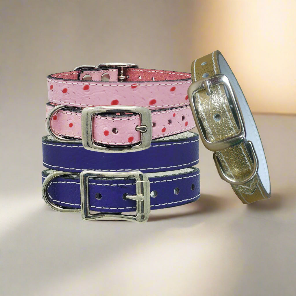 small leather dog collars made from quality designer leather