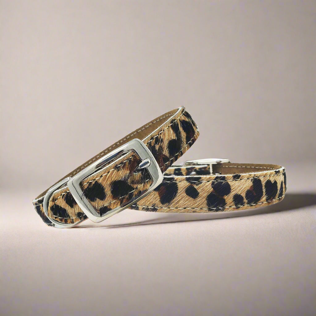 Small Leather Dog Collars- Leopard Print Unique Hair-on Collar designed for small dog breeds