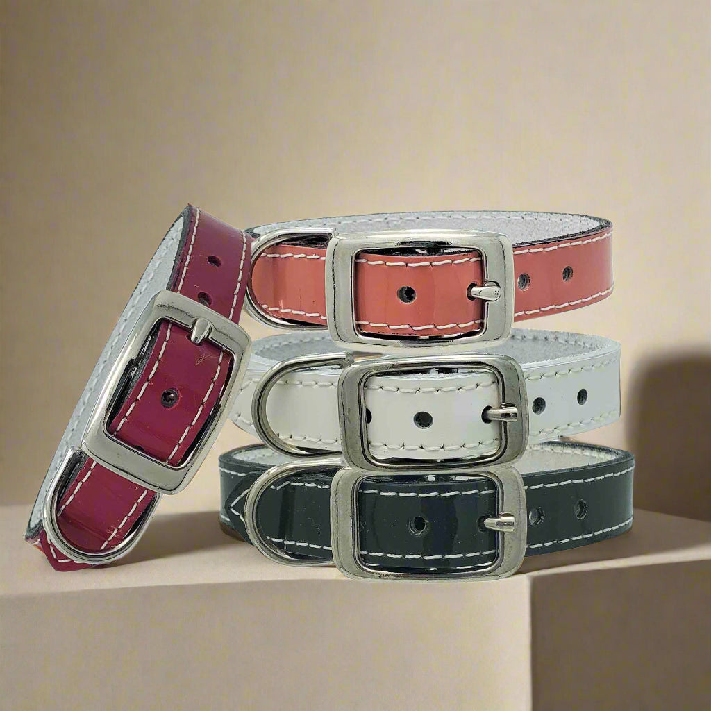 Plain Leather Dog Collar – A classic small leather dog collar made from high-quality patent leather with a sturdy metal buckle.