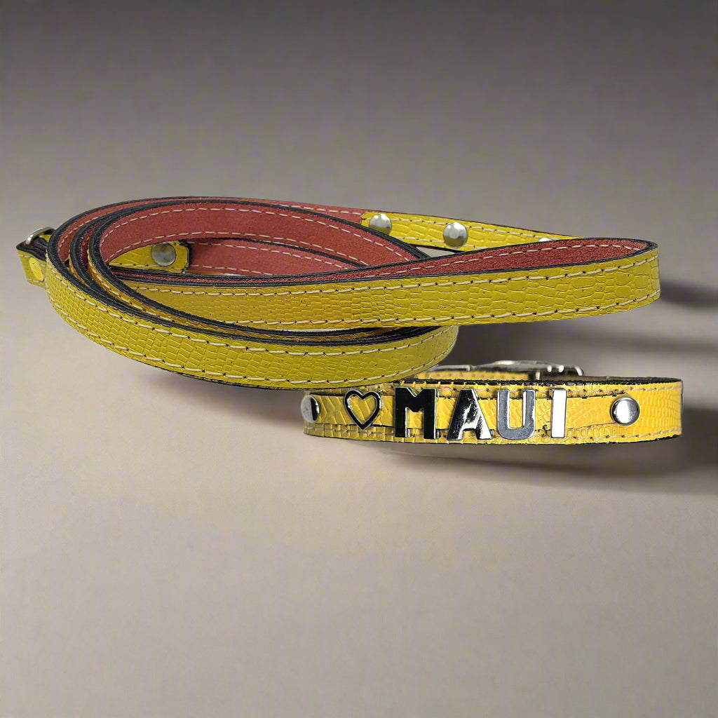 Sall leather dog collar yellow-personalized with chrome letters and matching leather leash