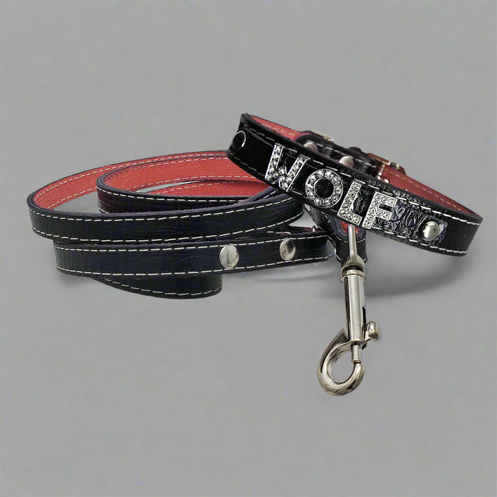 Small personalized leather dog collar with name in rhinestone letters and matching leather leash