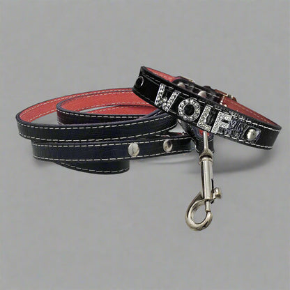 Small personalized leather dog collar with name in rhinestone letters and matching leather leash