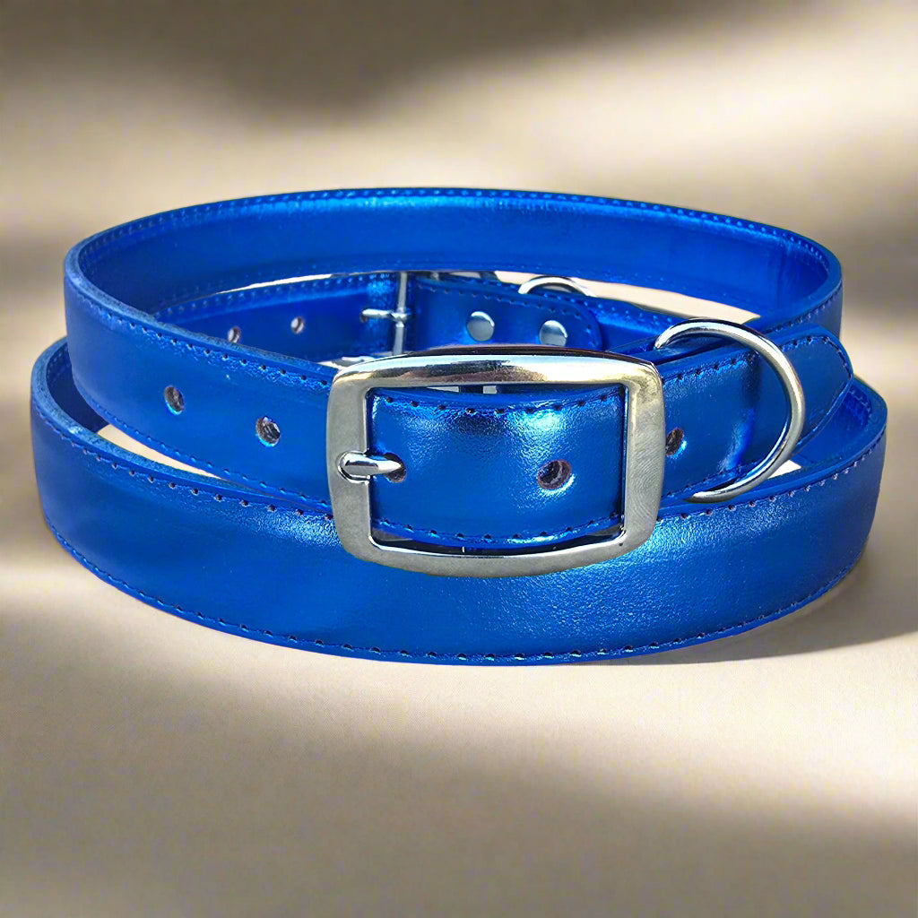 Bright colored metallic leather collar royal blue especially designed for large to extra large dogs