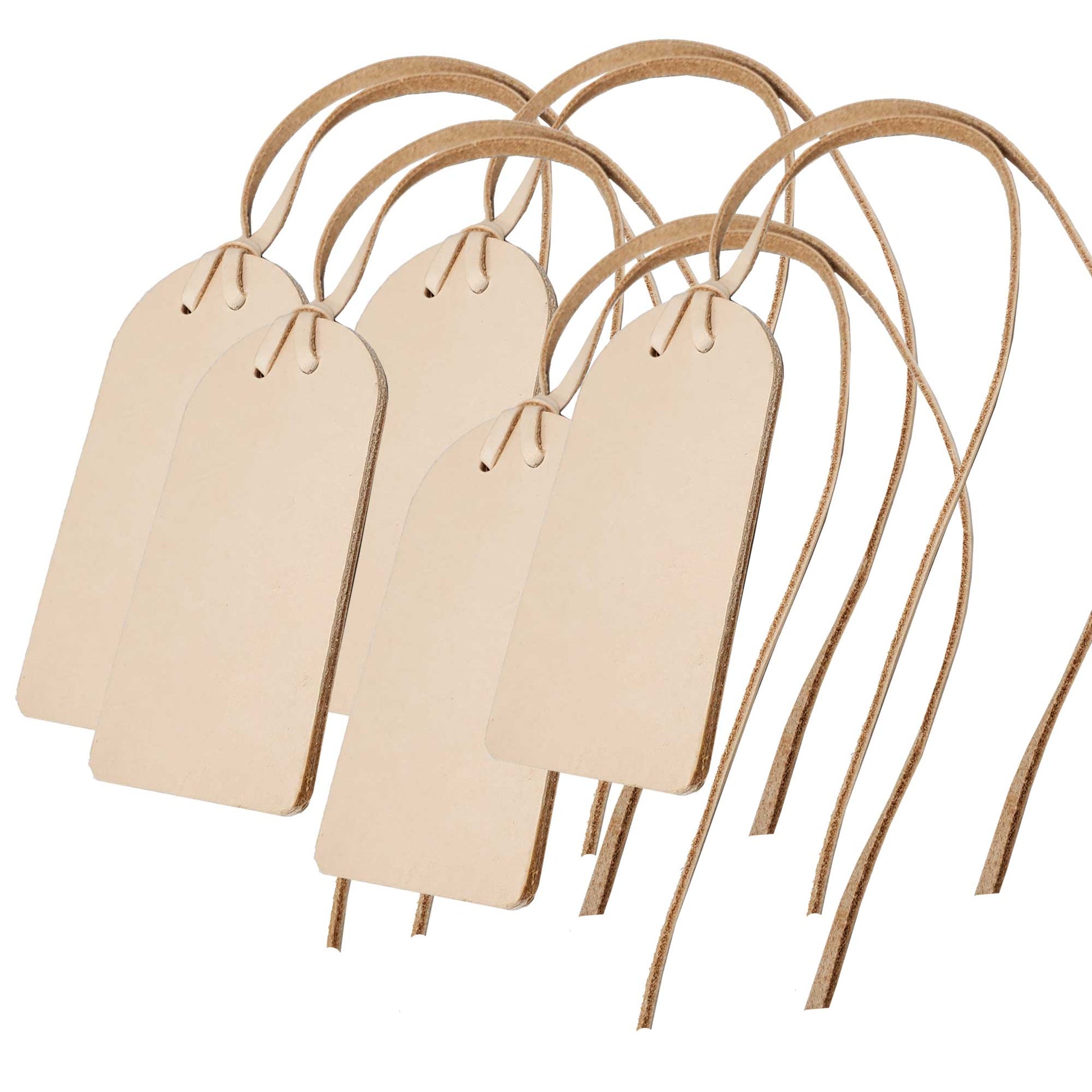 5-pack-luggage-lether-tags