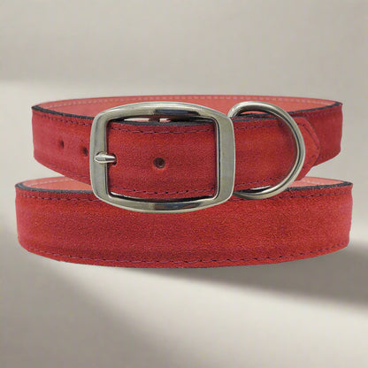 Large red leather suede dog collar with durable metal hardware, adding a bold pop of color to a big dog’s look