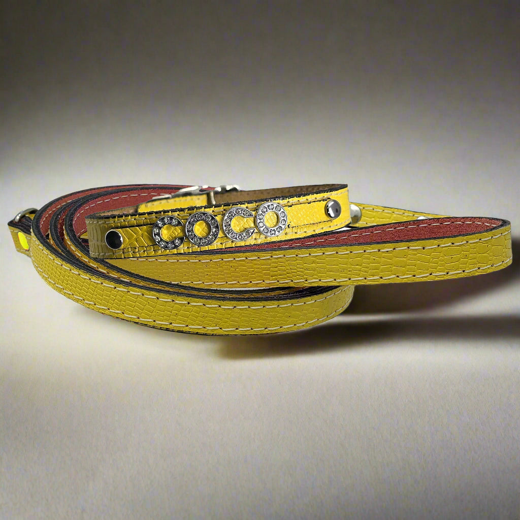 yellow dog collar for small dogs personalized with name in rhinestone letters with matching leather leash