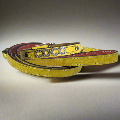 yellow dog collar for small dogs personalized with name in rhinestone letters with matching leather leash